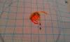 post-28112-1403253494_thumb.jpg