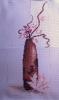 post-4301-1402592648_thumb.jpg