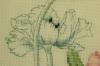 post-7701-1403847527_thumb.jpg