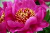 post-9193-1403375954_thumb.jpg