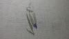 post-19622-1434881871_thumb.jpg