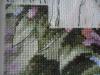 post-23824-1434546746_thumb.jpg