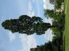 post-25863-1433770745_thumb.jpg