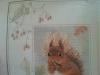 post-28731-1434083272_thumb.jpg
