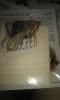 post-29812-1435386535_thumb.jpg