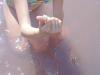 post-30358-1434271214_thumb.jpg
