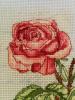 IMG_20150605_072107.jpg