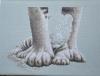 post-3183-1434291923_thumb.jpg