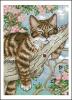 Dimensions_65090_Napping_kitten.jpg