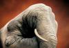 post-682-1248293229_thumb.jpg