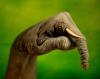 post-682-1248293235_thumb.jpg