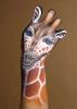 post-682-1248293264_thumb.jpg