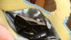 post-970-1279559047_thumb.jpg