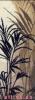 post-2-1311930160_thumb.jpg