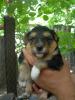 post-8385-1311532933_thumb.jpg