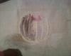 post-9800-1312061514_thumb.jpg