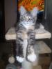 post-11330-1341468701_thumb.jpg