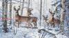 Dimensions 35130, Зима в лесу (Олени, Зимний лес, Woodland Winter)