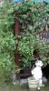post-11485-1374583667_thumb.jpg