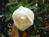 post-14792-1374522356_thumb.jpg