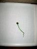 post-2-1374399581_thumb.jpg