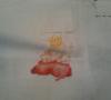 post-2-1374996937_thumb.jpg