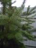 post-10167-1405657018_thumb.jpg