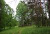 post-10362-1404375523_thumb.jpg