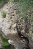 post-10362-1404831389_thumb.jpg