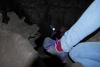 post-10362-1404831702_thumb.jpg