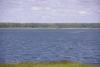 post-10362-1406022752_thumb.jpg
