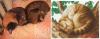 post-12795-1404329218_thumb.jpg