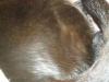 post-12795-1404740439_thumb.jpg