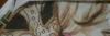 post-15119-1404499773_thumb.jpg