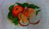 IMAG0486_1.jpg