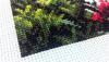 post-2-1405851753_thumb.jpg
