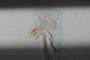post-2-1406489911_thumb.jpg