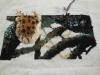DSCN1060.JPG