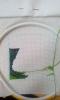 post-22459-1406375522_thumb.jpg
