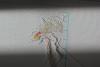 post-24225-1406126744_thumb.jpg