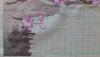post-25279-1404712189_thumb.jpg