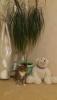 post-25279-1406626542_thumb.jpg