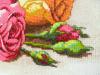 post-13595-1437386375_thumb.jpg