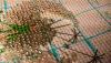 post-24617-1436272851_thumb.jpg