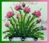 post-26031-1436154303_thumb.jpg
