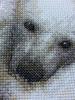 post-26031-1436179802_thumb.jpg