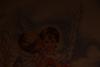 post-31214-1436440446_thumb.jpg