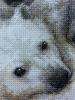 post-3183-1436200752_thumb.jpg