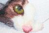 post-3183-1436909283_thumb.jpg