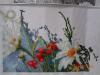DSC00724.JPG
